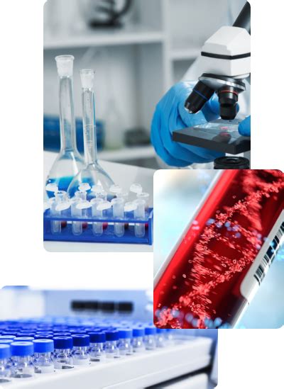 molecular biology services